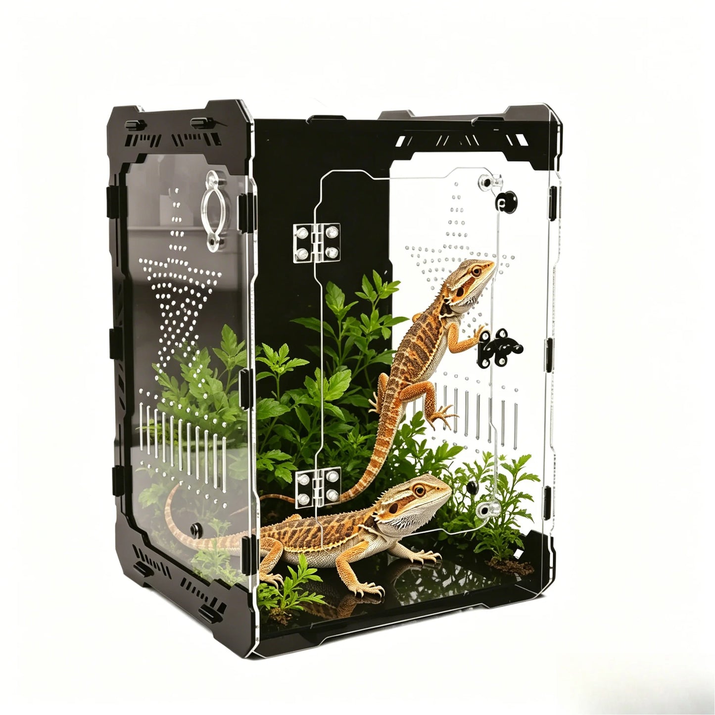 Boîte d'Élevage Reptile Acrylique Ventilée