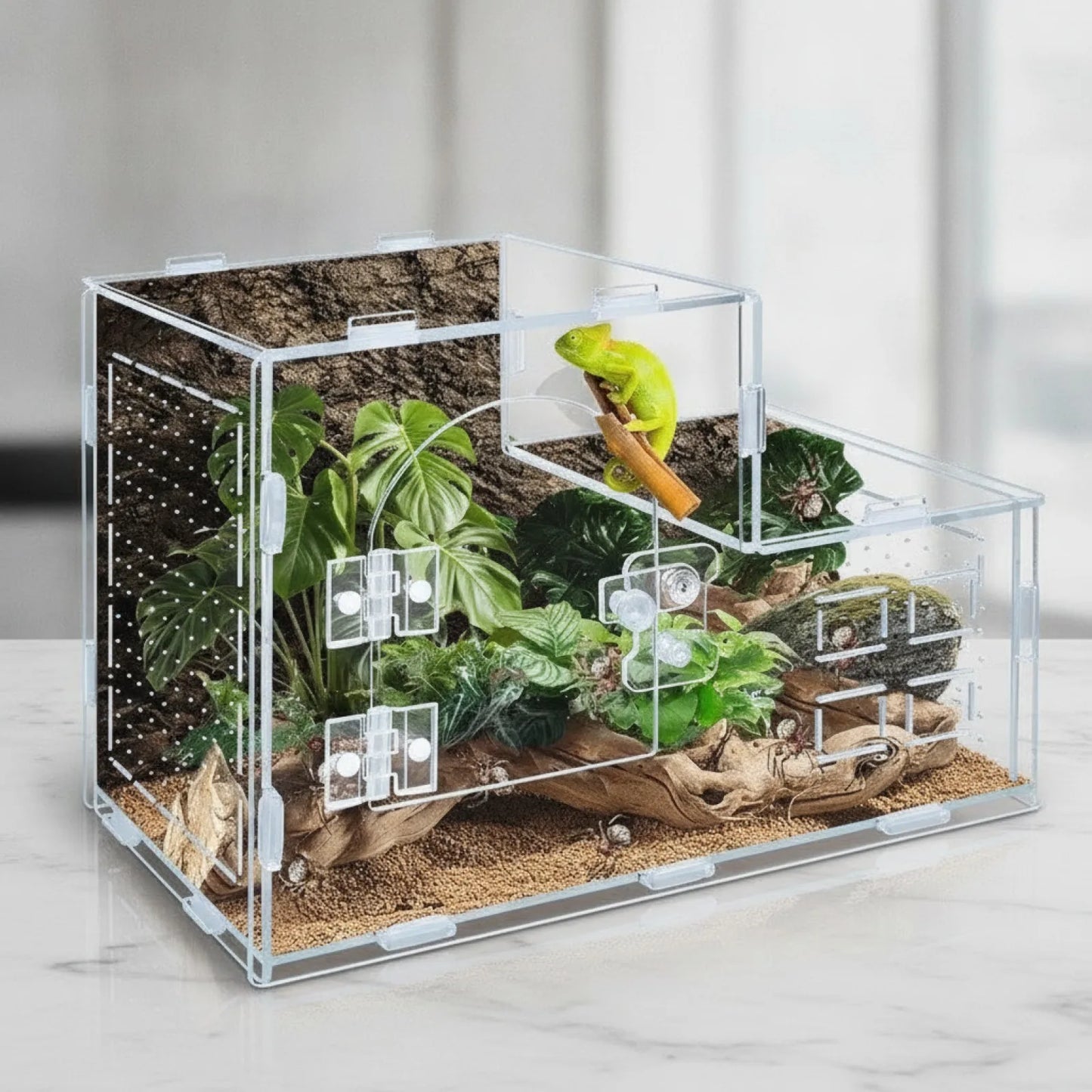 Terrarium Acrylique Panoramique 360°