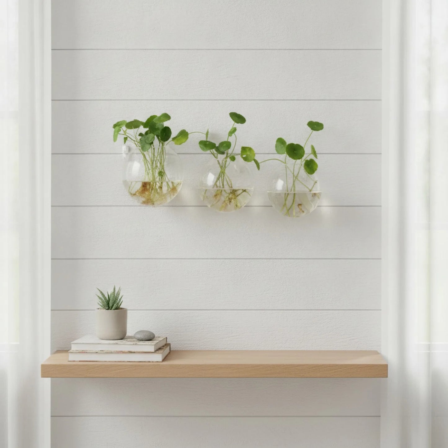 Terrarium Mural Design en Verre Suspendu