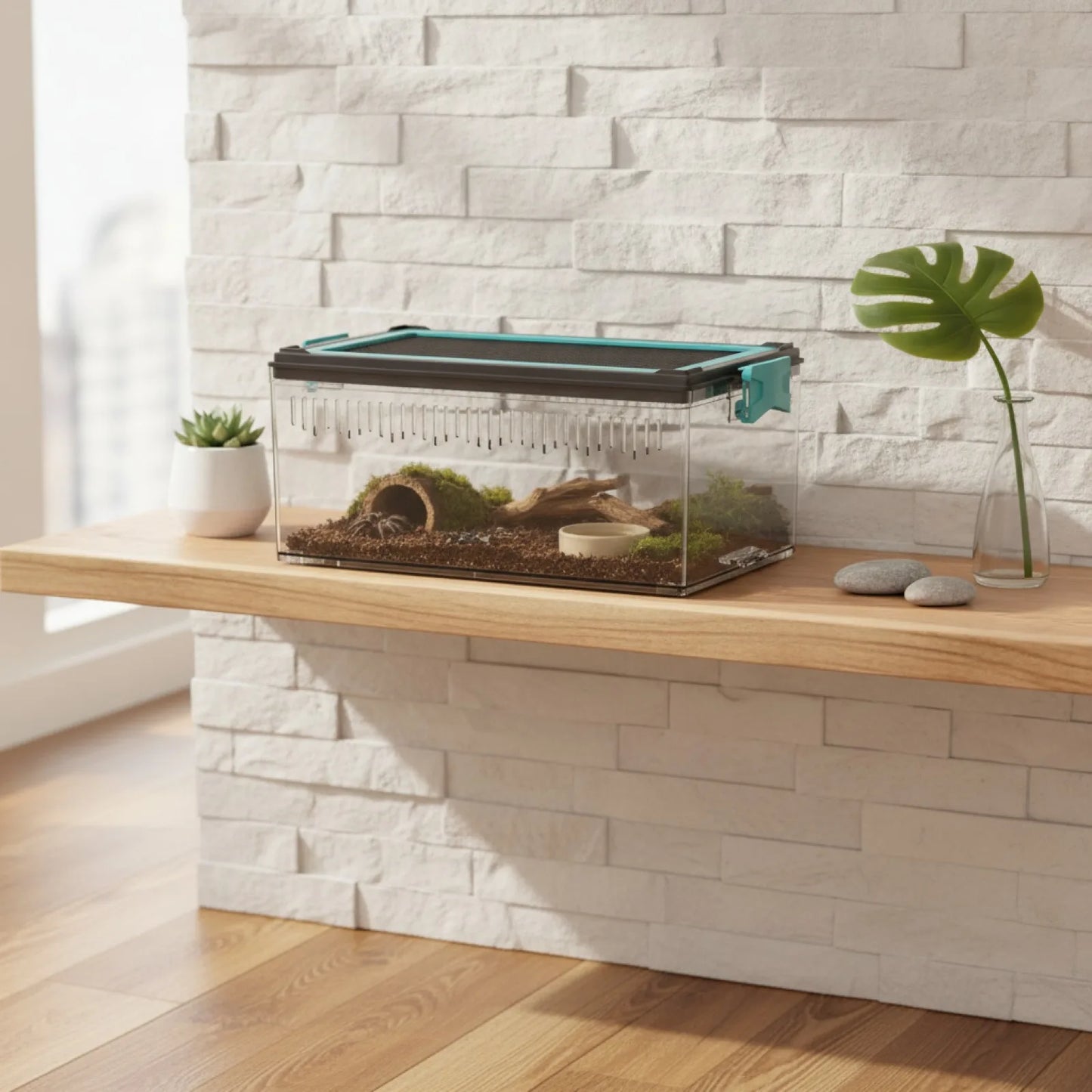 Terrarium Empilable Modulable pour Petits Animaux