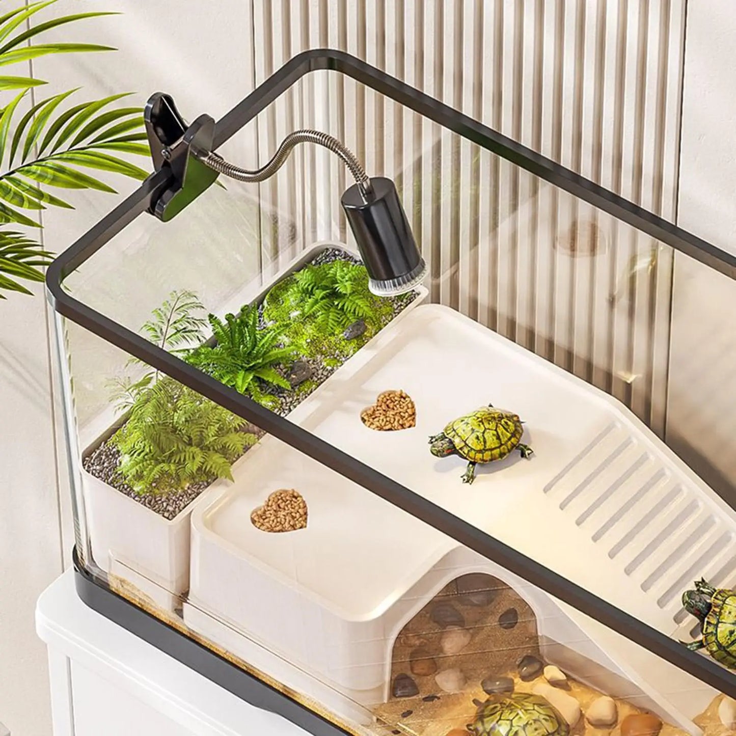 Terrarium Tortue 20 Gallons avec Plateforme