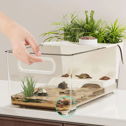 Habitat Tortue Multifonction : Bain, Repos & Jeu
