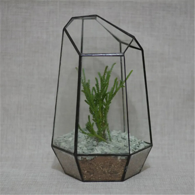 Terrarium Géométrique BenRussell en Verre & Cristal