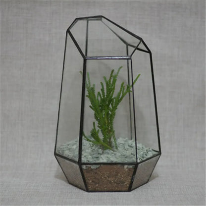 Terrarium Géométrique BenRussell en Verre & Cristal