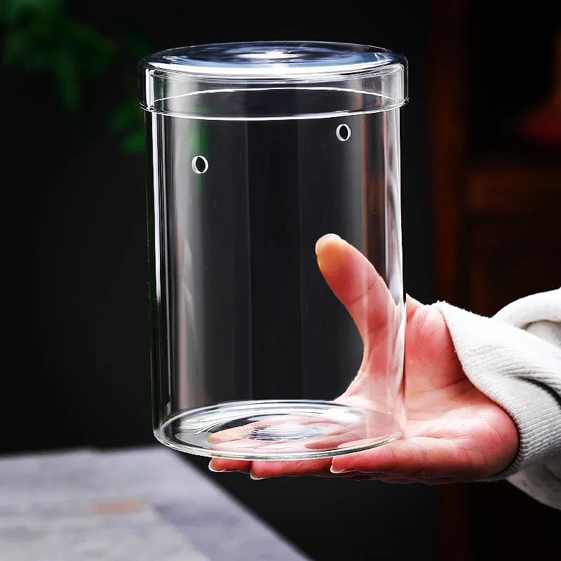 Terrarium Cylindrique Verre Fait Main BenRussell