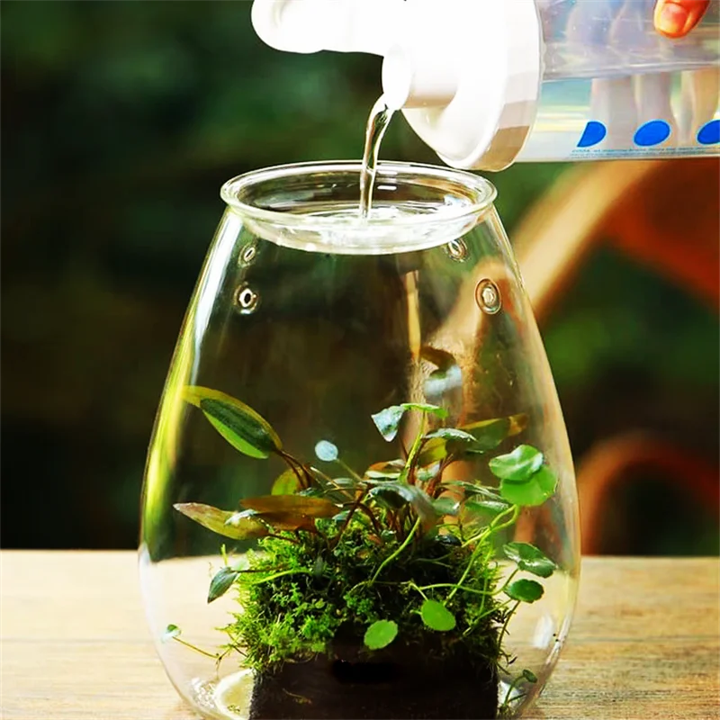 Bouteille Paysage Verre - Terrarium Miniature Fait Main