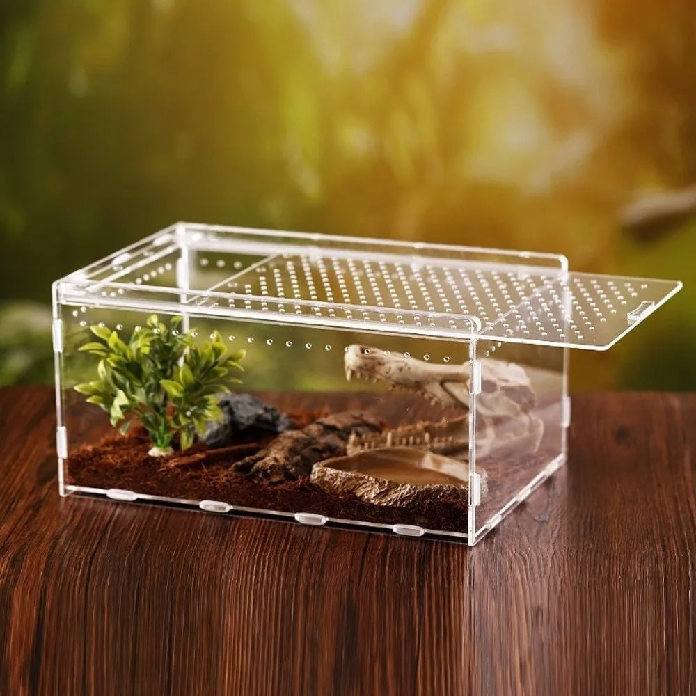 Terrarium Acrylique Transparent pour Reptiles