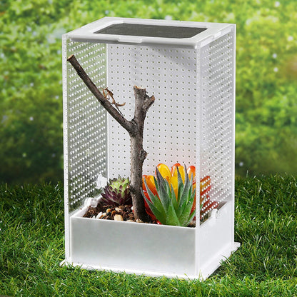 Terrarium Acrylique Transparent : Vue Panoramique