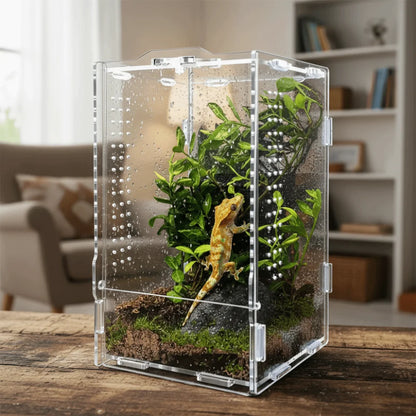 Terrarium Acrylique Transparent pour Reptiles et Arthropodes