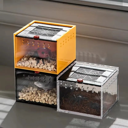 Boîte d'Élevage Acrylique Ventilée pour Reptiles et Insectes