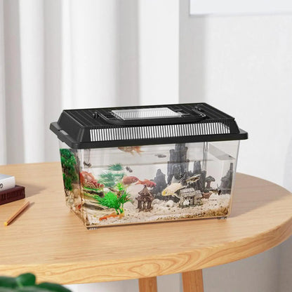 Boîte d'Élevage Reptile Transparente et Portable