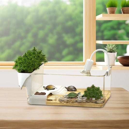 Terrarium Tortue & Reptile Transparent 360°