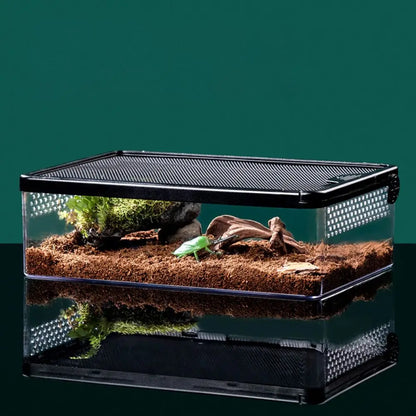 Terrarium Anti-Fugue Transparent pour Reptiles et Amphibiens