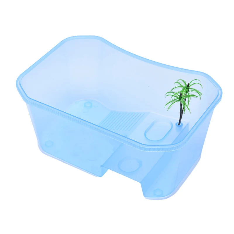 Vivarium Tortue & Amphibien : Espace de Vie Complet