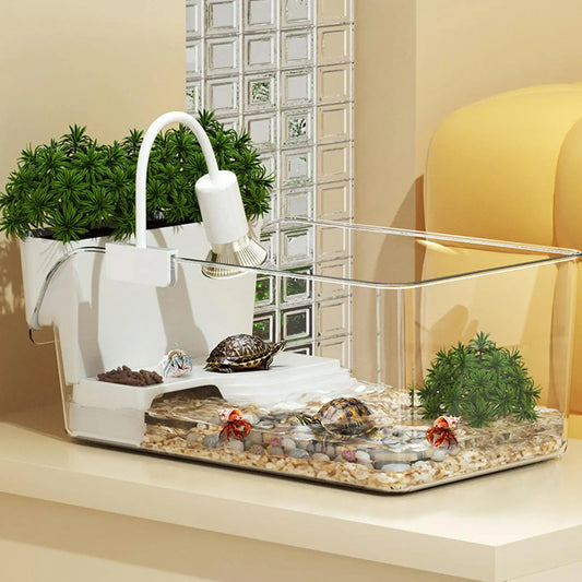 Aquarium Tortue Transparent 270°