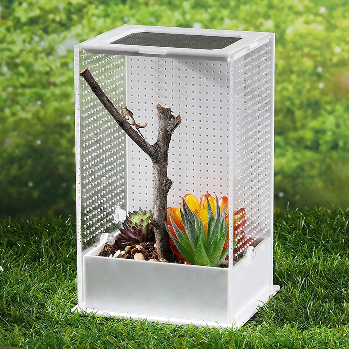 Terrarium Acrylique Haute Visibilité Anti-Évasion