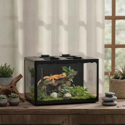 Terrarium Reptile & Tortue 60cm - Habitat Naturel & Sécurisé