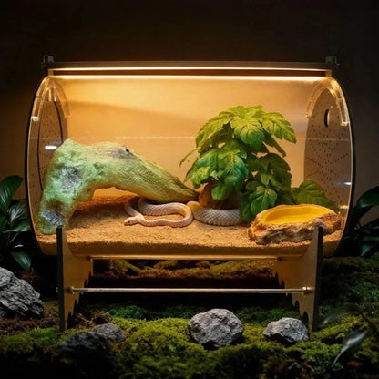 Terrarium Verre Premium Reptiles LED