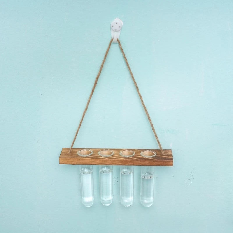 Terrarium Mural Design Bois & Verre Suspendu