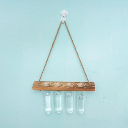 Terrarium Mural Design Bois & Verre Suspendu