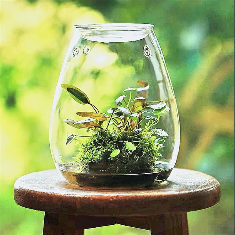 Bouteille Paysage Verre - Terrarium Miniature Fait Main