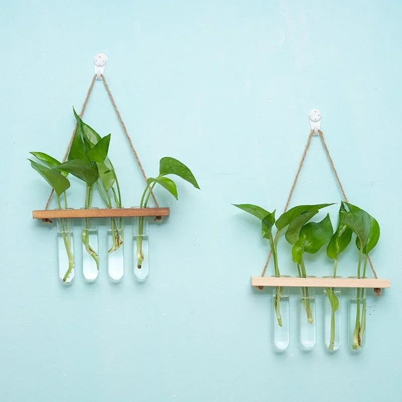 Terrarium Mural Design Bois & Verre Suspendu