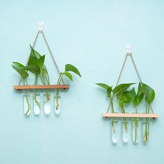 Terrarium Mural Design Bois & Verre Suspendu