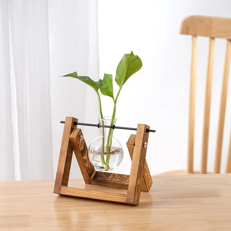 Terrarium Vintage Balance Bois