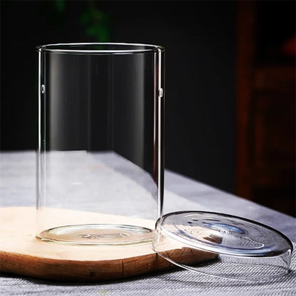 Terrarium Cylindrique Verre Fait Main BenRussell