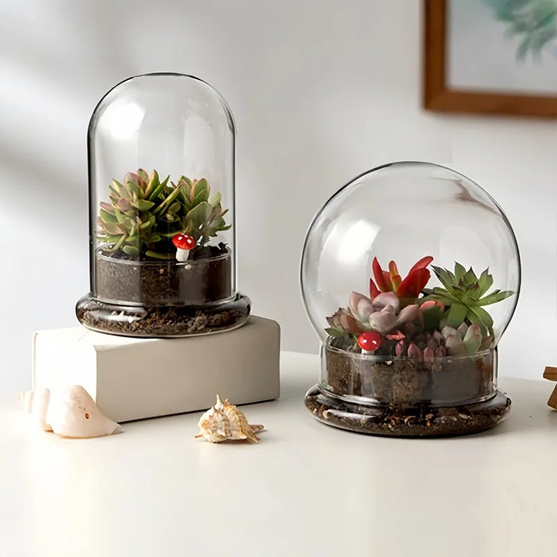 Cloche en Verre Décorative avec Base - Taille M