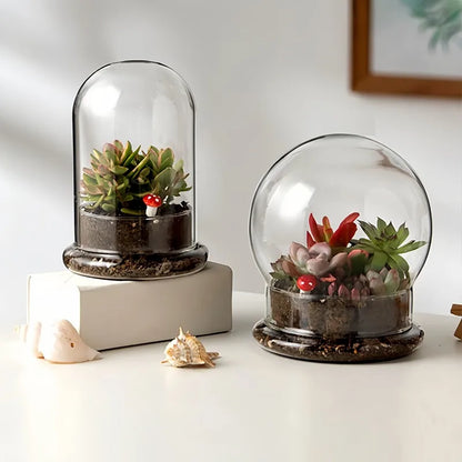 Cloche en Verre Décorative avec Base - Taille M