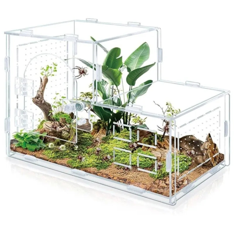 Terrarium Acrylique Panoramique 360°