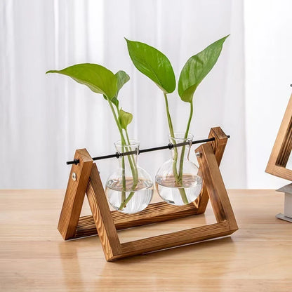 Terrarium Vintage Balance Bois
