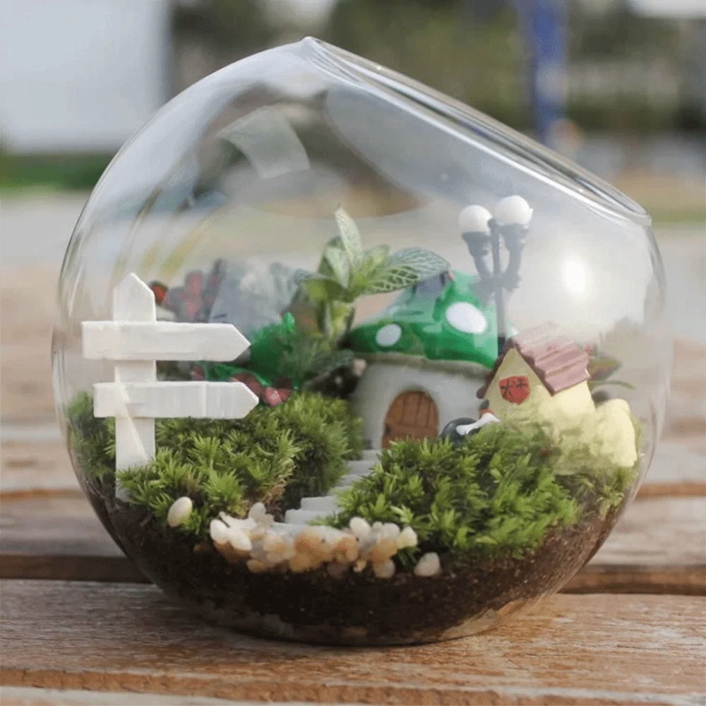 Vase Boule Verre Transparent pour Plantes