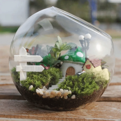 Vase Boule Verre Transparent pour Plantes