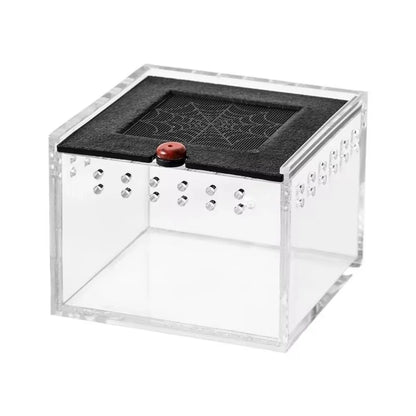 Boîte d'Élevage Acrylique Ventilée pour Reptiles et Insectes