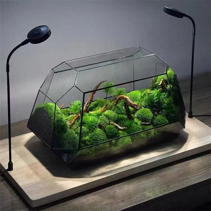 Terrarium Géométrique BenRussell en Verre