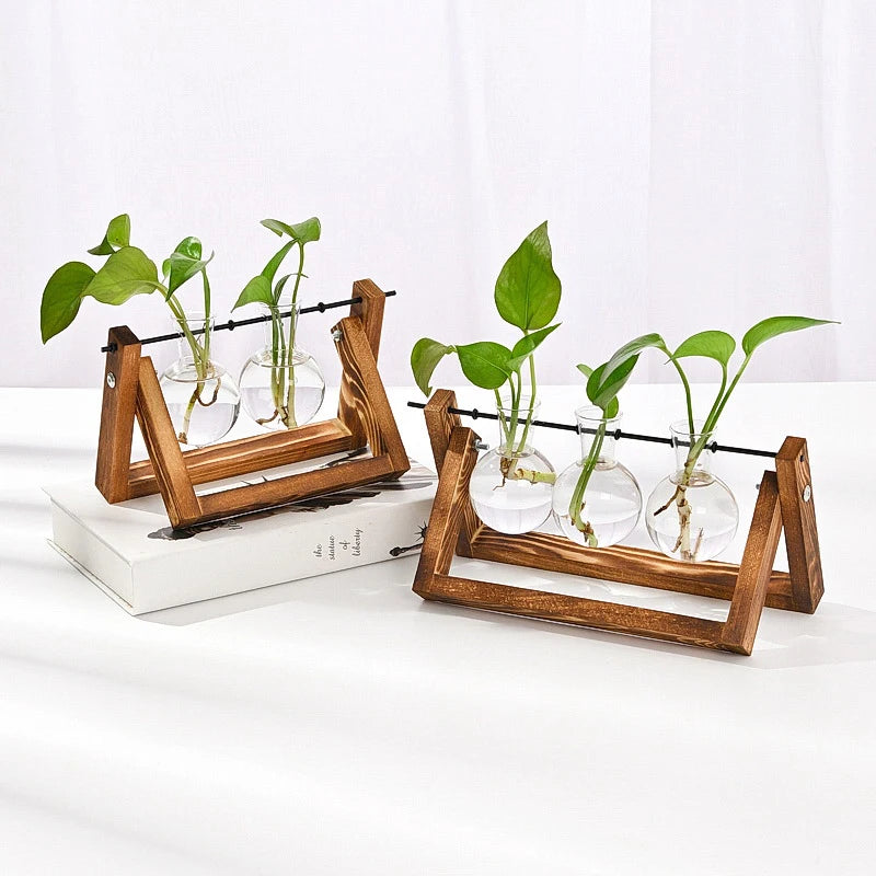 Terrarium Vintage Balance Bois