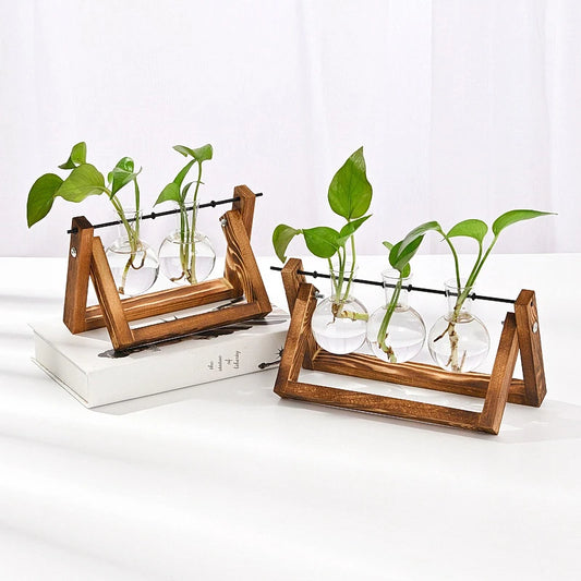 Terrarium Vintage Balance Bois