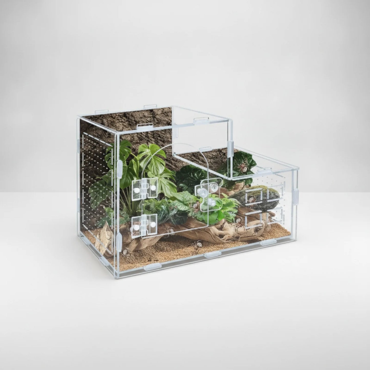 Terrarium Acrylique Panoramique 360°