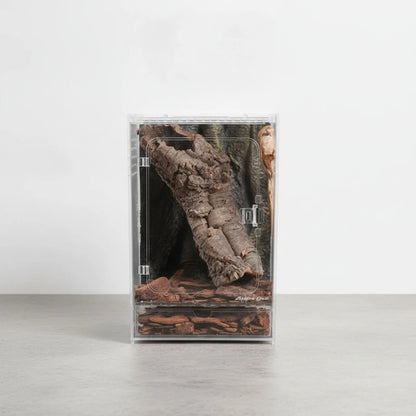 Terrarium Acrylique Transparent pour Reptiles et Insectes