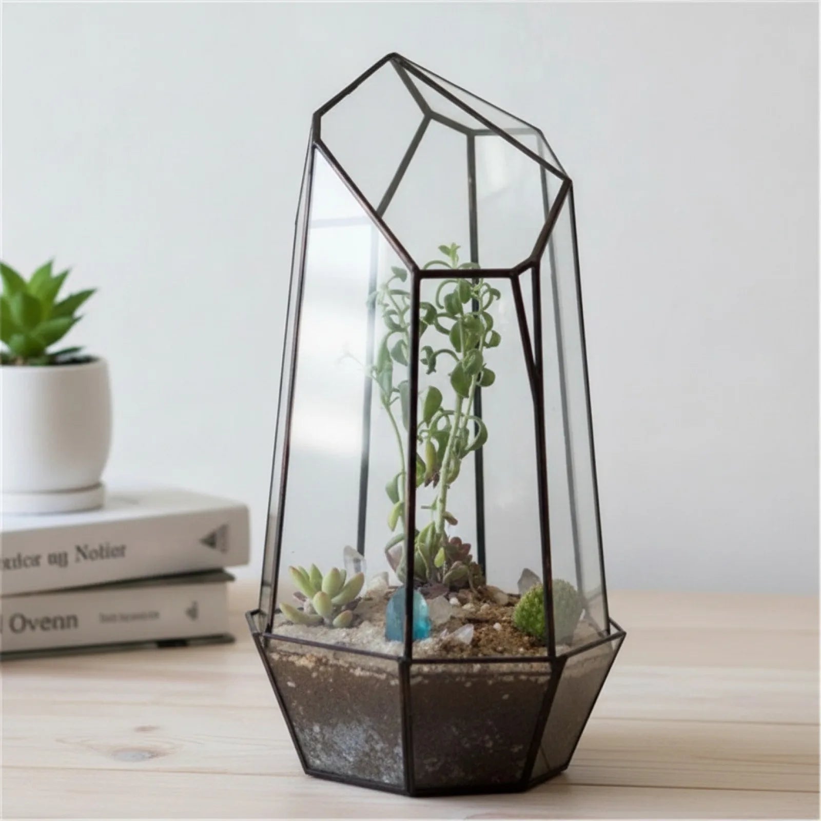 Terrarium Géométrique BenRussell en Verre & Cristal