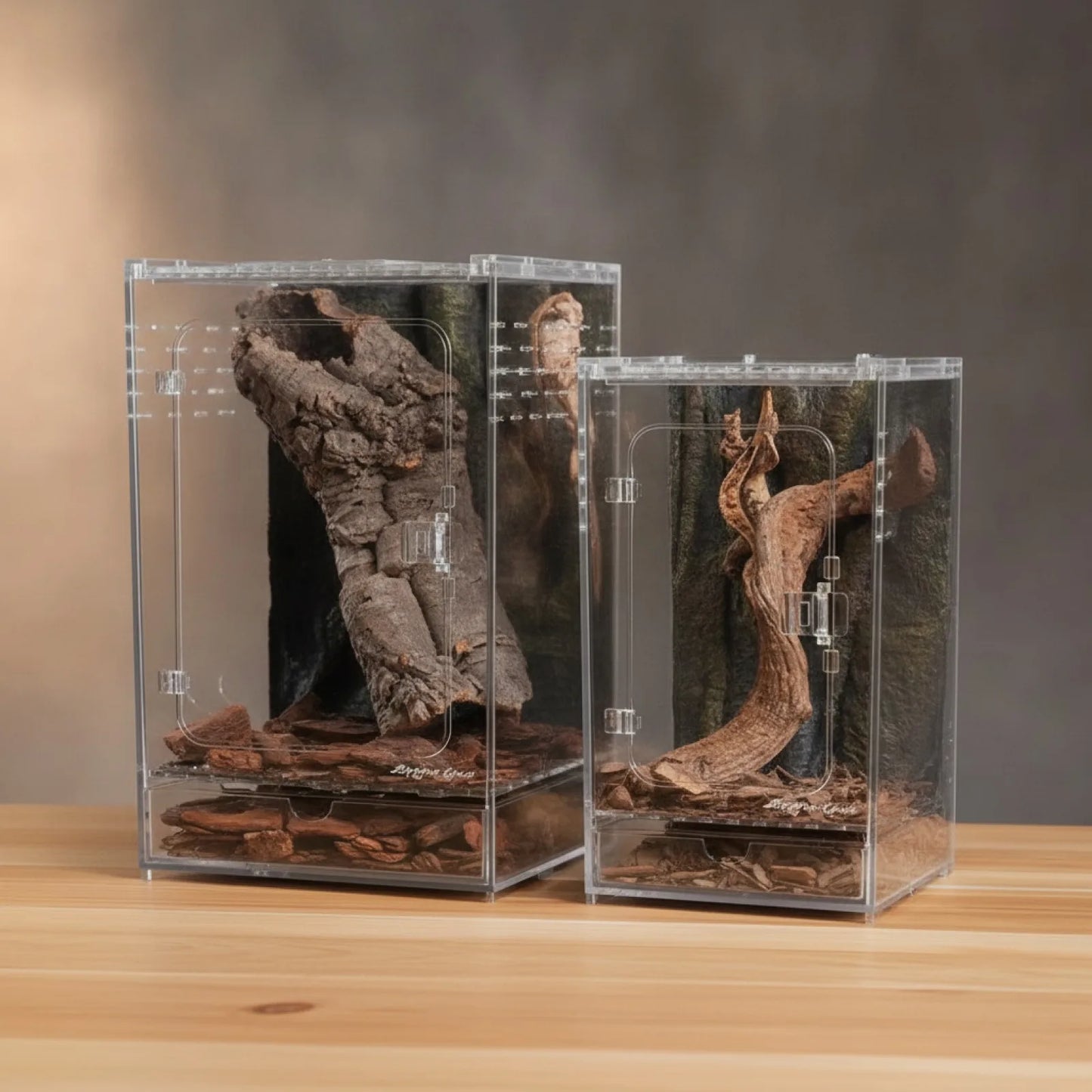 Terrarium Acrylique Transparent pour Reptiles et Insectes