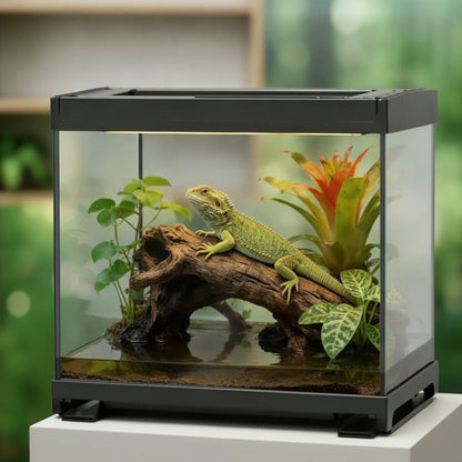 Terrarium Verre Haute Transparence Polyvalent