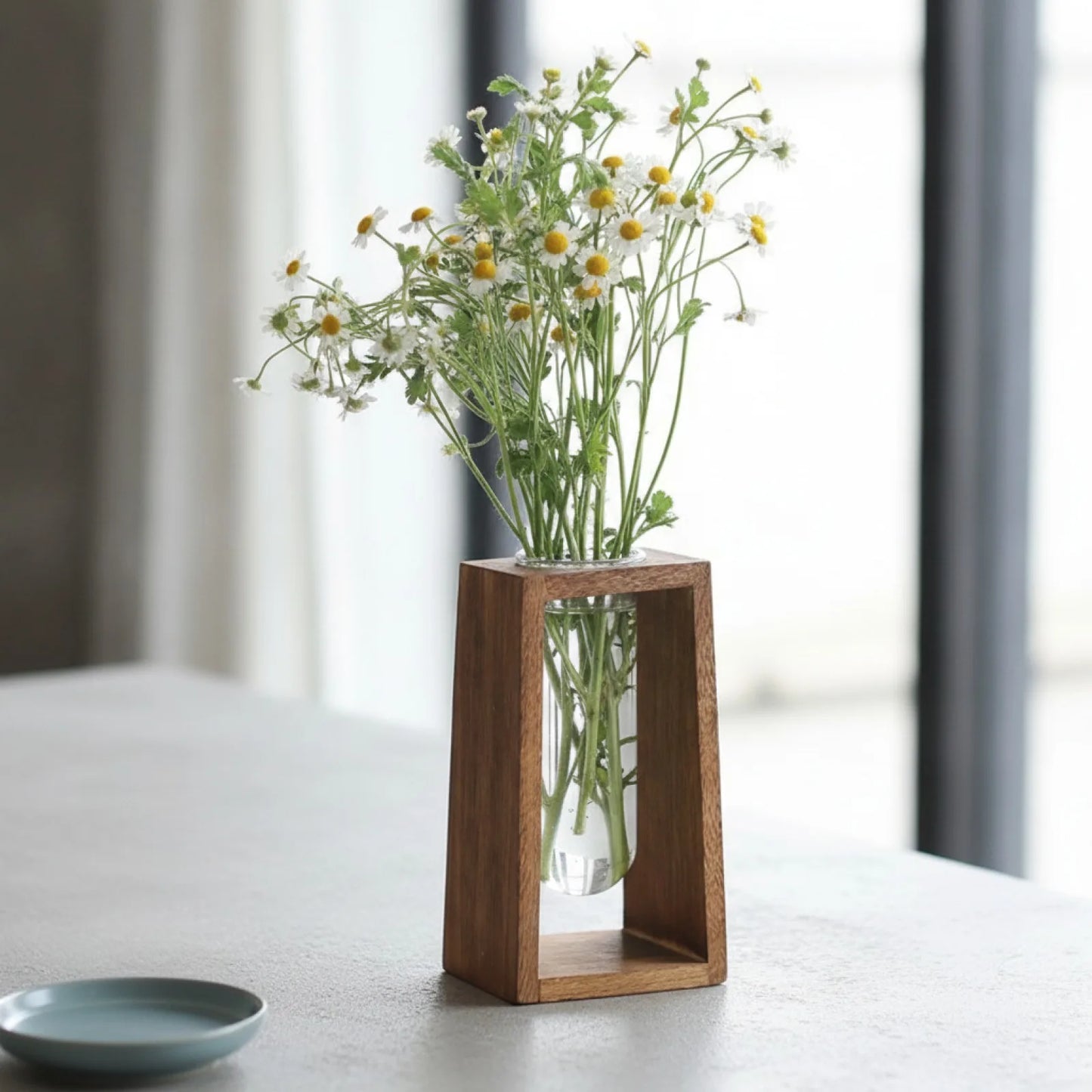Vase Hydroponique en Verre & Bois