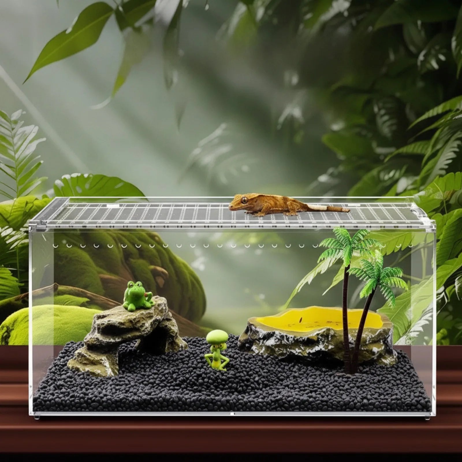 Terrarium Acrylique Transparent pour Reptiles