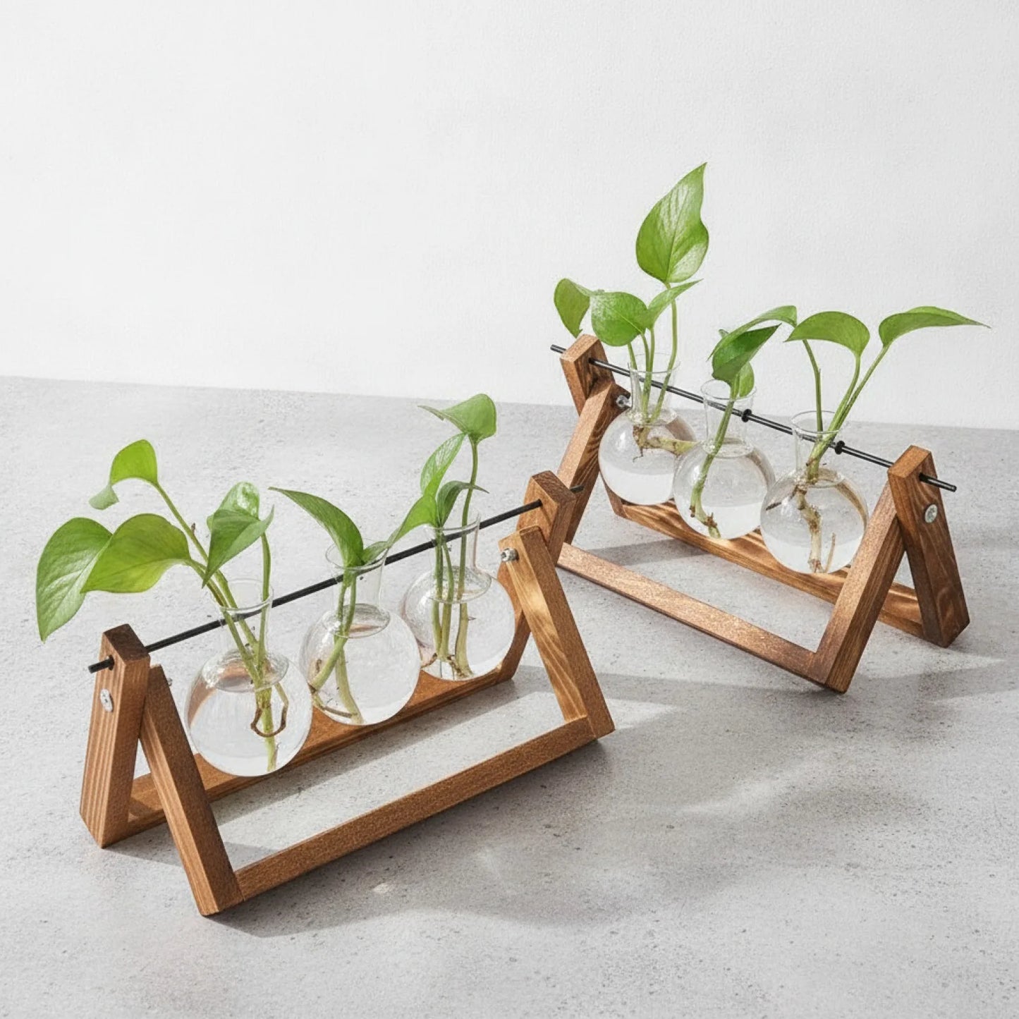 Terrarium Vintage Balance Bois