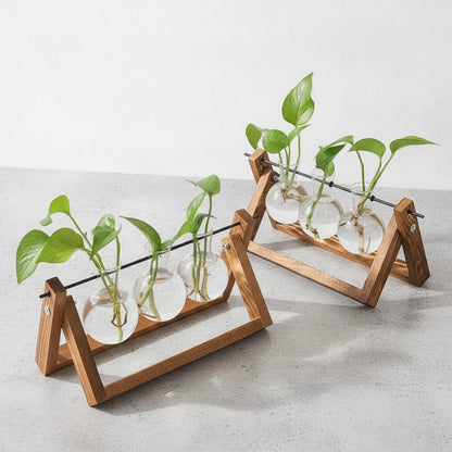 Terrarium Vintage Balance Bois