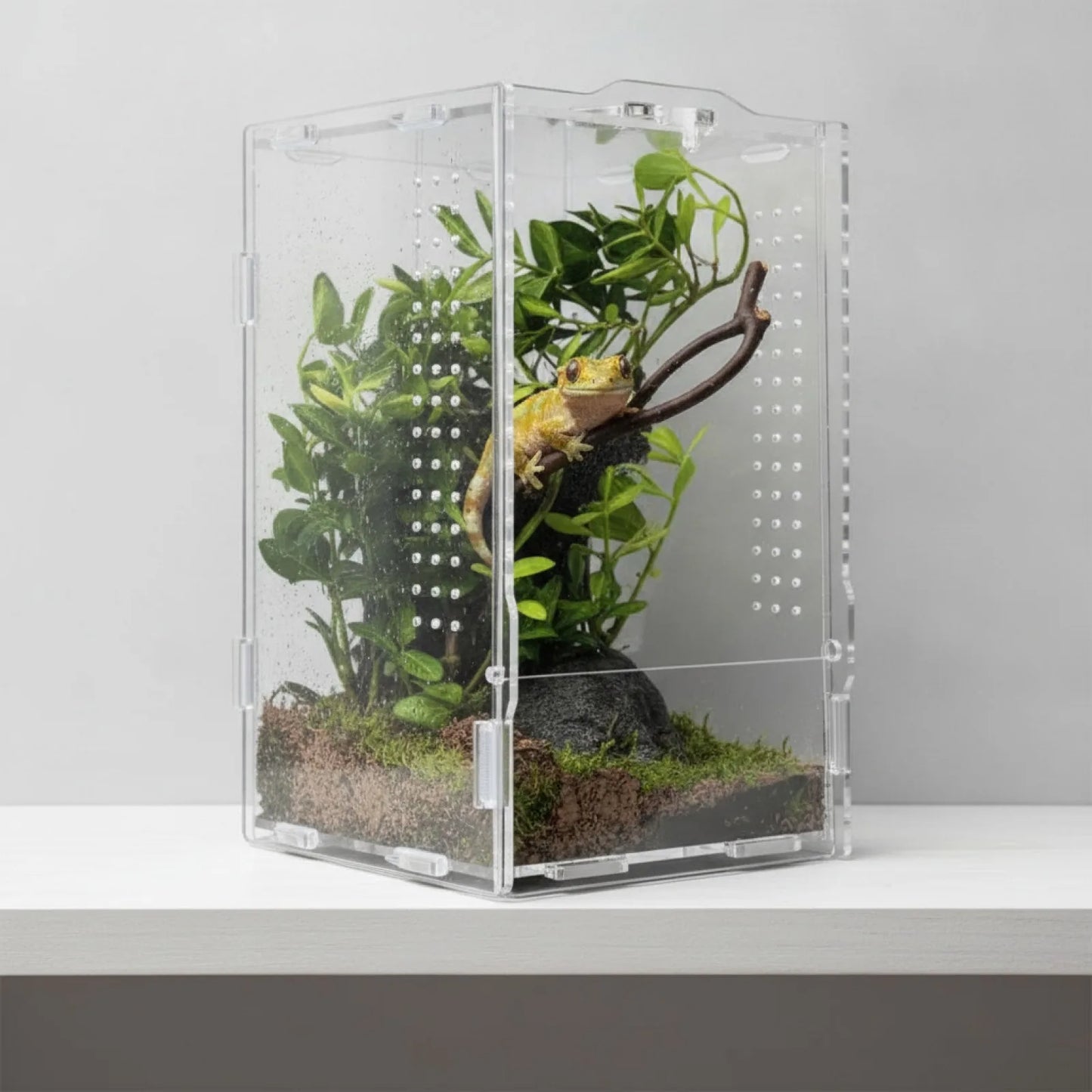 Terrarium Acrylique Transparent pour Reptiles et Arthropodes