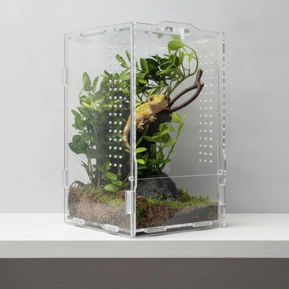 Terrarium Acrylique Transparent pour Reptiles et Arthropodes